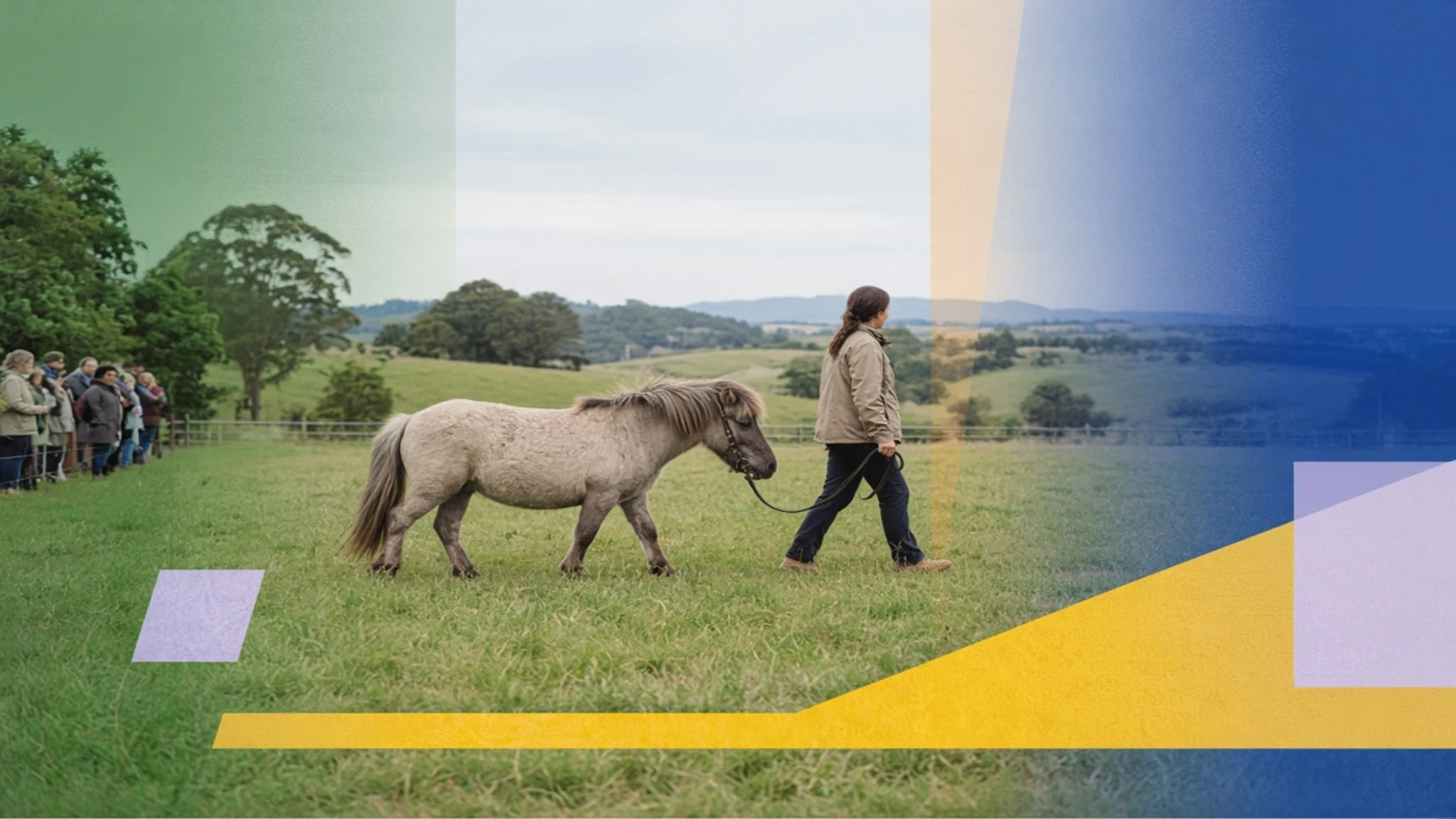 Calm pony and handler moving toward open space with a visual pause band